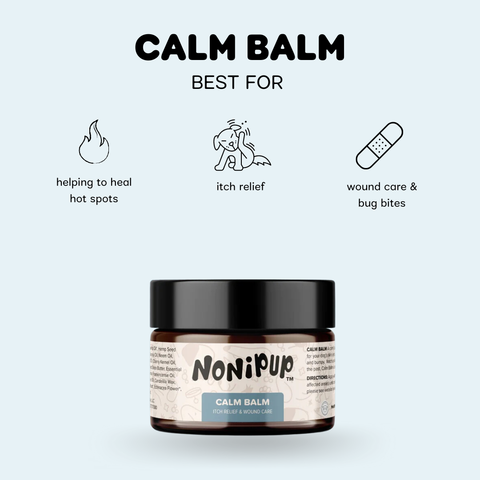 Travel Size Bundle: Boop Butter™ + Calm Balm