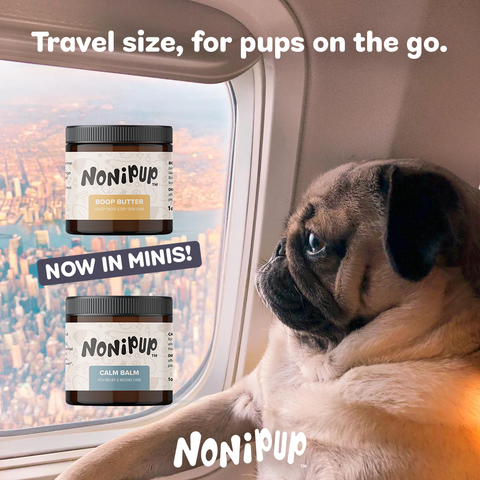Travel Size Bundle: Boop Butter™ + Calm Balm