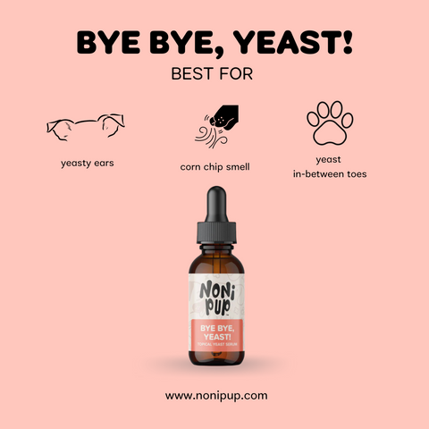 BYE BYE, YEAST! Topical Yeast Serum – Nonipup