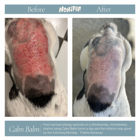Calm Balm