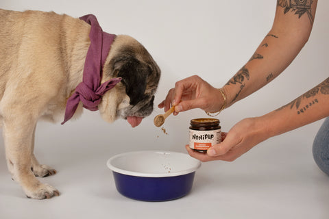 NEW: Doug’s SuperShrooms - Longevity Blend