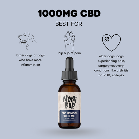 1000MG CBD HEMP OIL